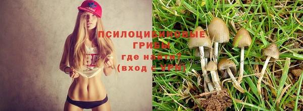 героин Чегем