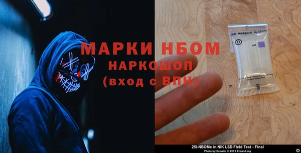 сатива Зерноград