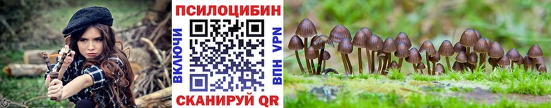 Галлюциногенные грибы GOLDEN TEACHER гидра онион Азнакаево