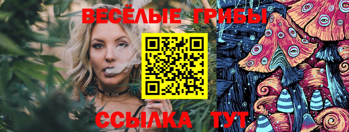 Галлюциногенные грибы мухоморы  Псилоцибиновые грибы Psilocybe  Вход с VPN  Азнакаево 