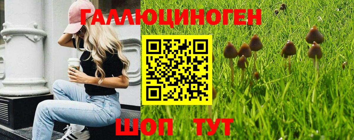 Галлюциногенные грибы Cubensis Азнакаево