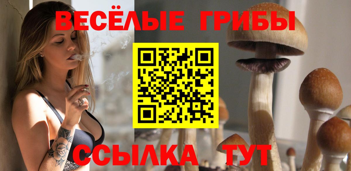Галлюциногенные грибы GOLDEN TEACHER Азнакаево